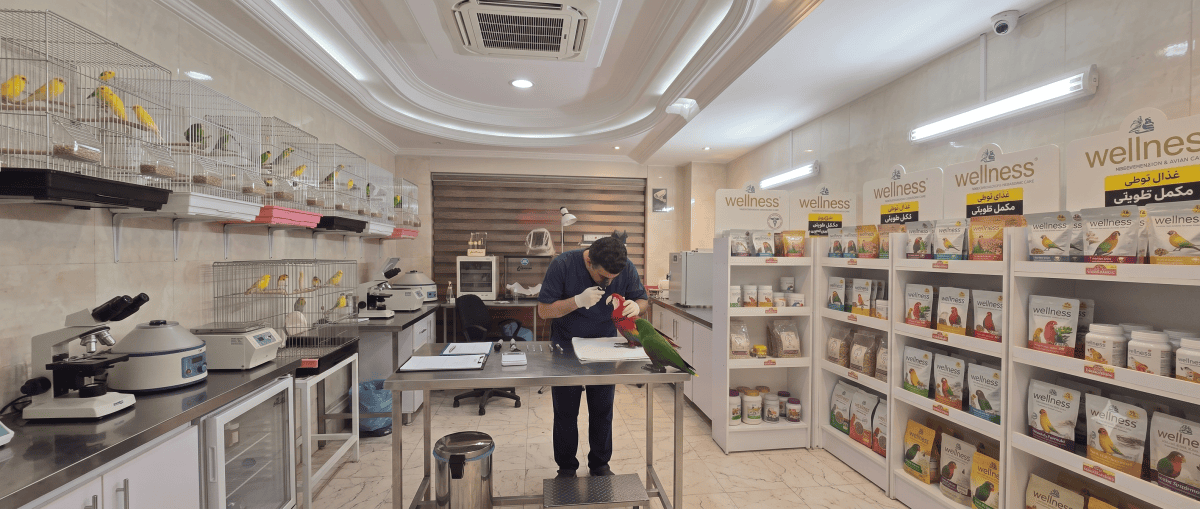 بهترین دامپزشک پرندگان تهران: راهنمای انتخاب کلینیک تخصصی