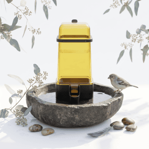 ظرف آب خوری پرنده